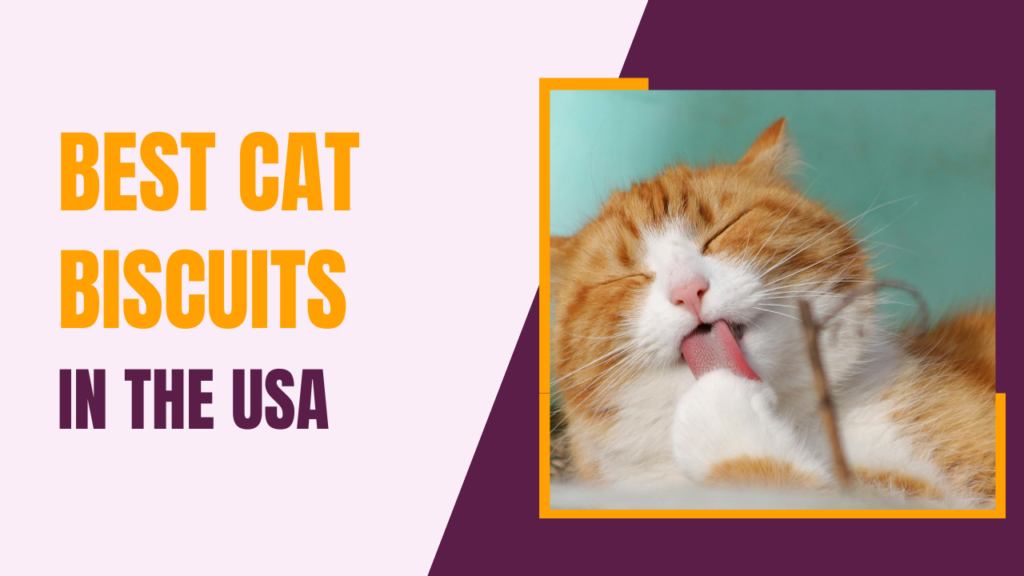 Best Cat Biscuits in the USA