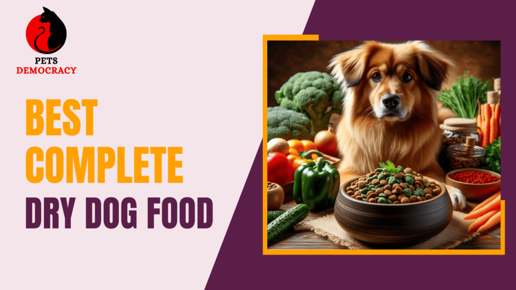 Best Complete Dry Dog Food