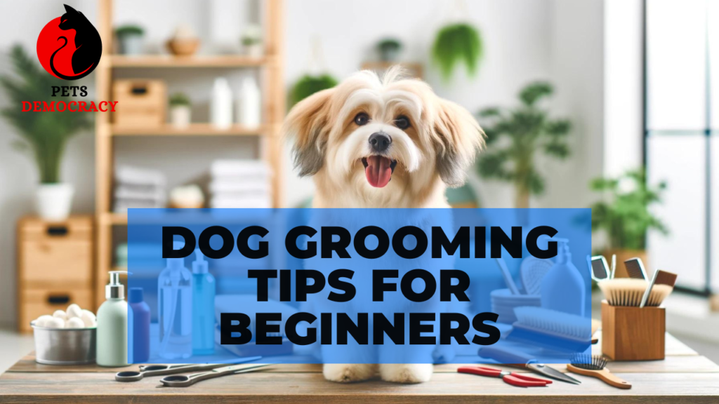 Dog Grooming Tips for Beginners