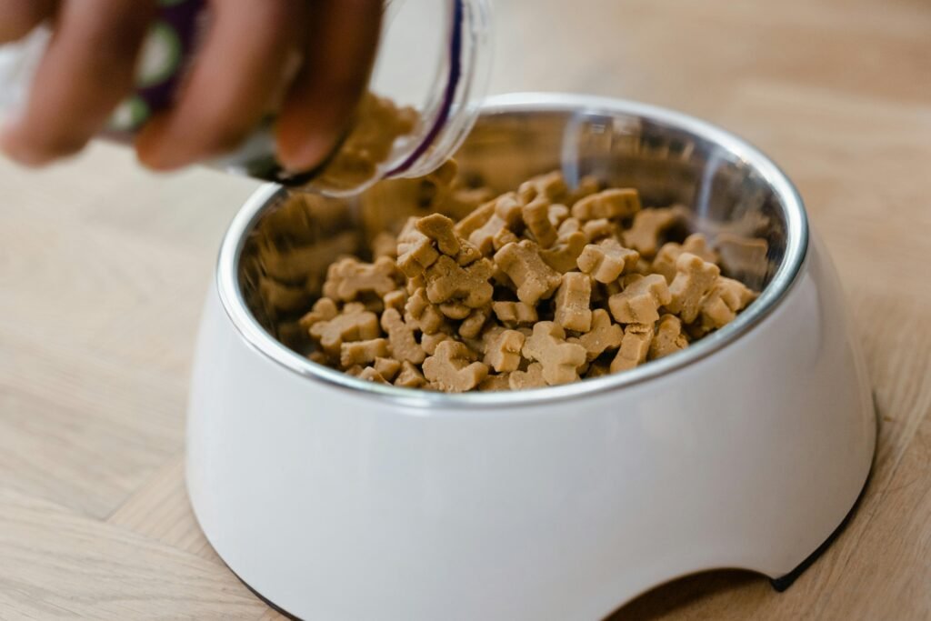 Best Grain-Free Dog Food In Canada