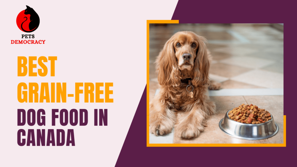 Best Grain-Free Dog Food In Canada