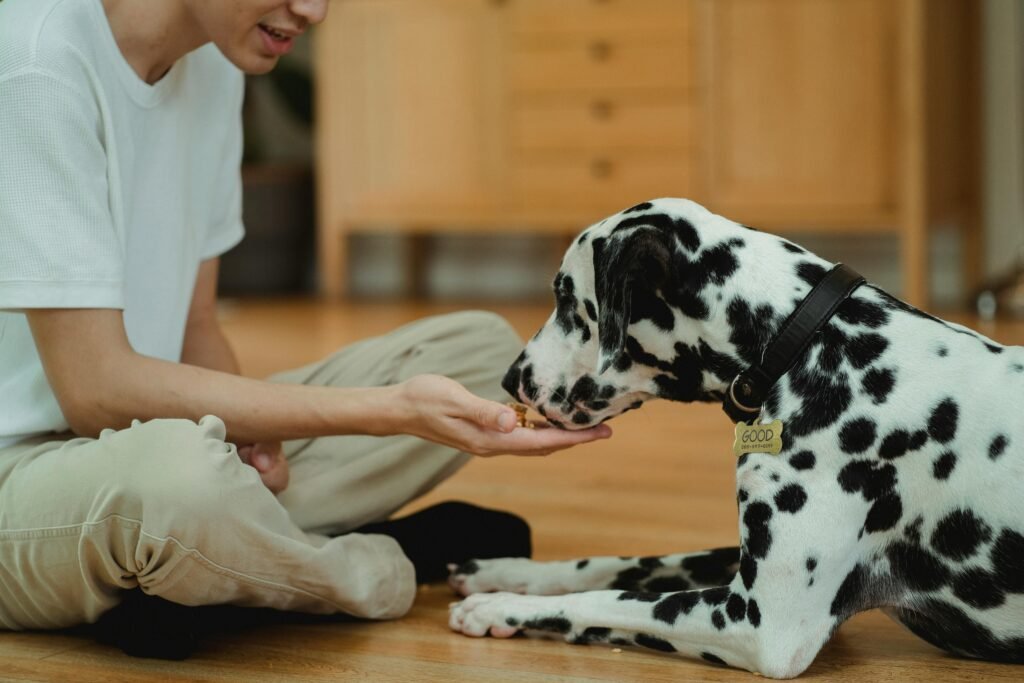 Best Grain-Free Dog Food In Canada