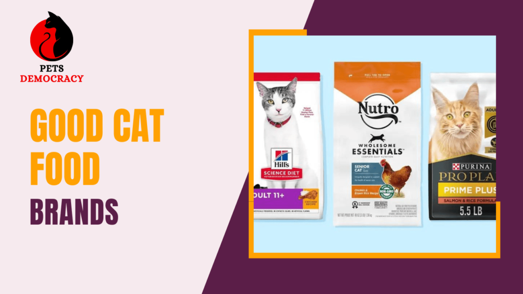 Good Cat Food Brands