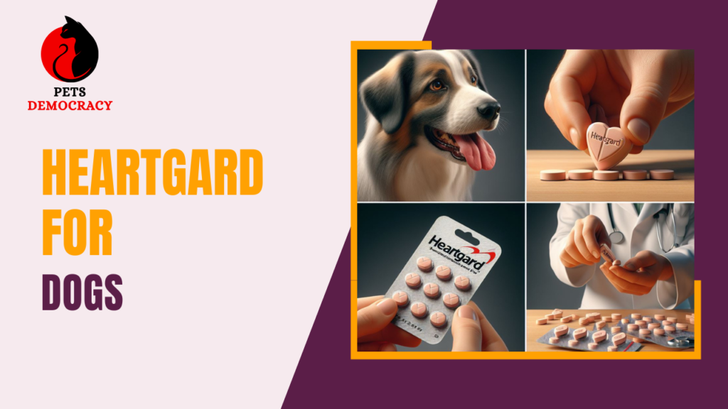 Heartgard for Dogs