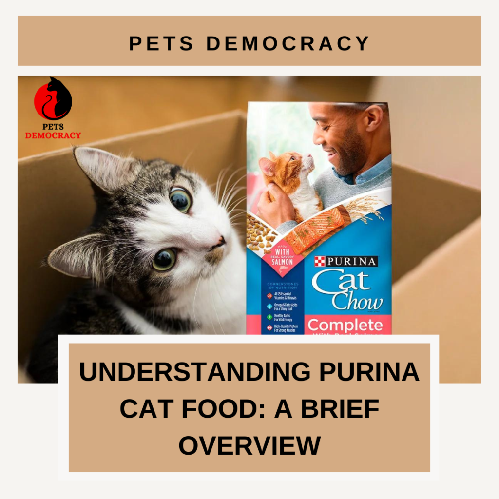 Purina Cat Food