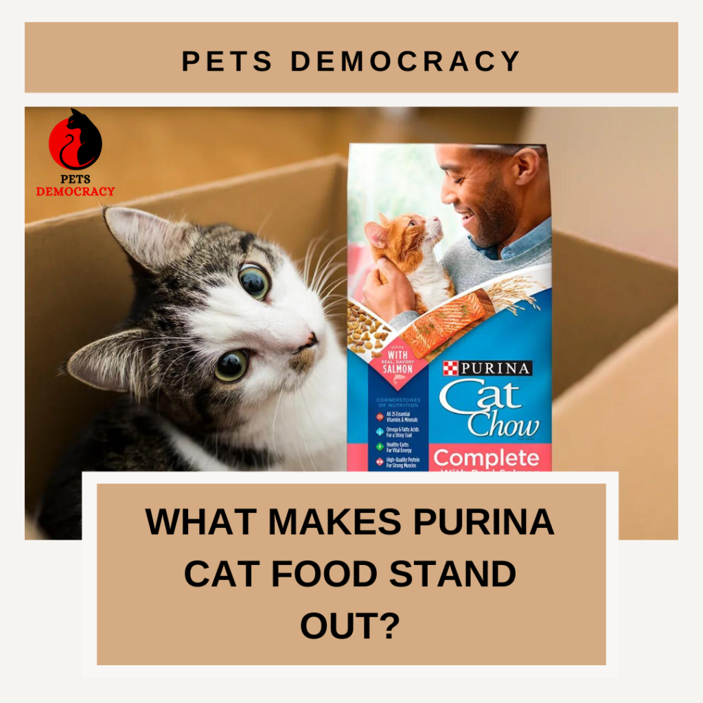 Purina Cat Food