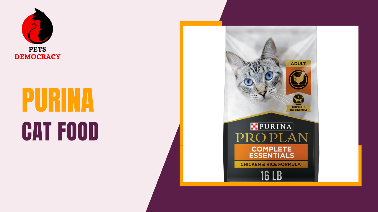 Purina Cat Food