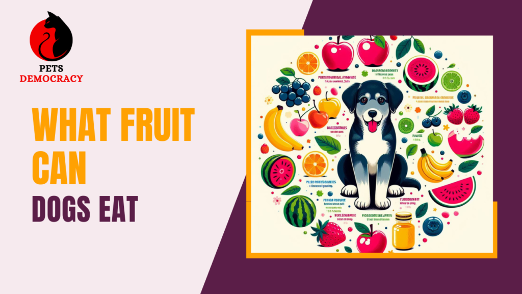 What Fruit Can Dogs Eat