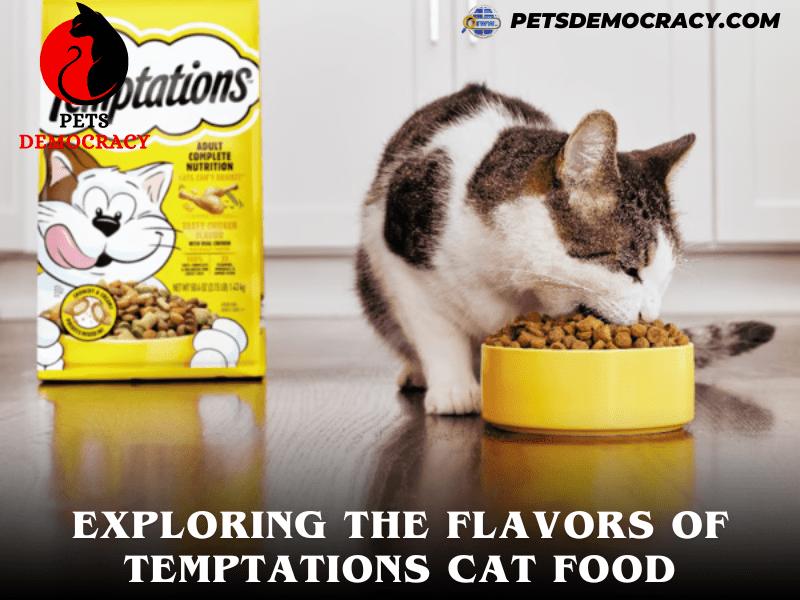 Temptations Cat Food