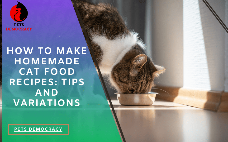 How to Make Homemade Cat Food