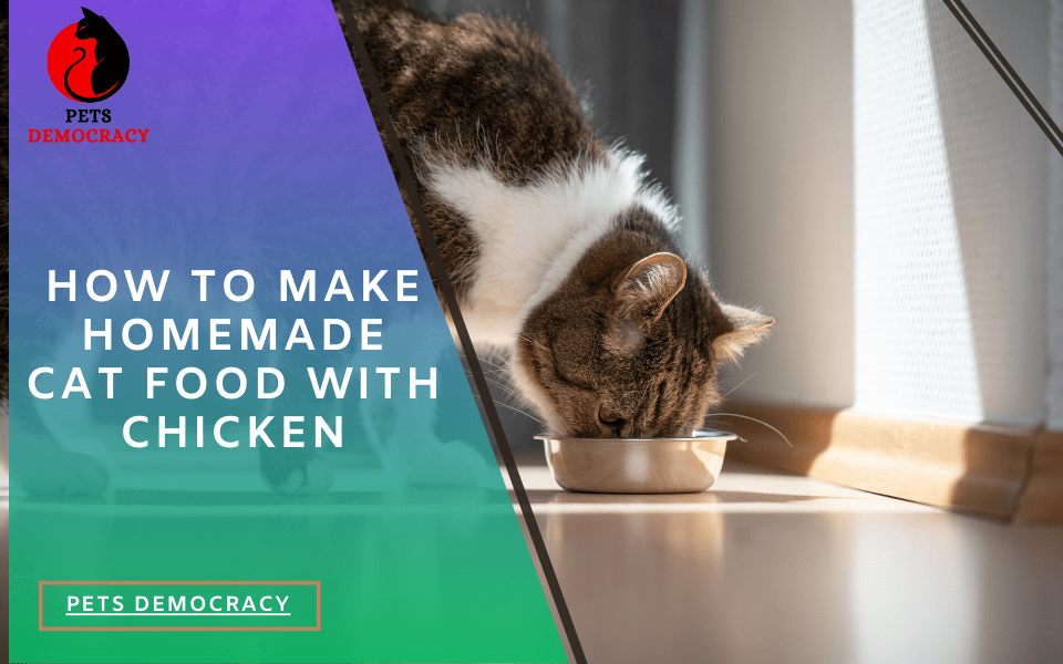 How to Make Homemade Cat Food