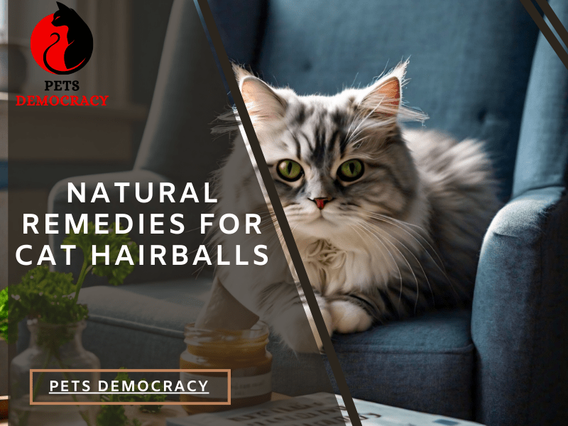 Natural Remedies for Cat Hairballs