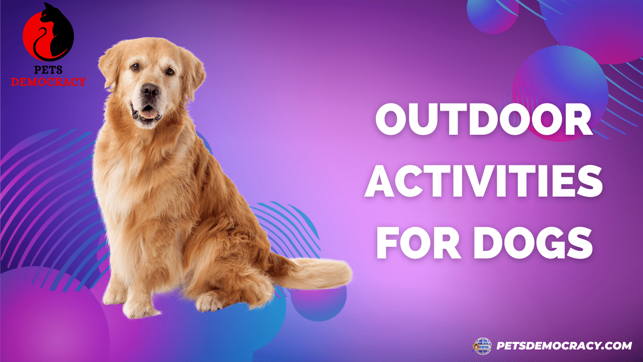 Outdoor Activities for Dogs