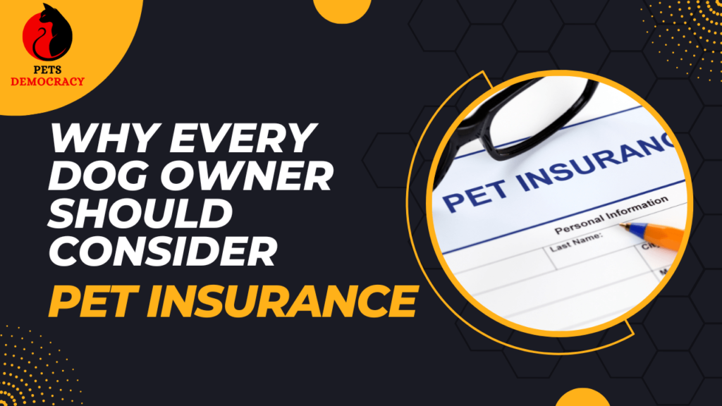 Pet Insurance