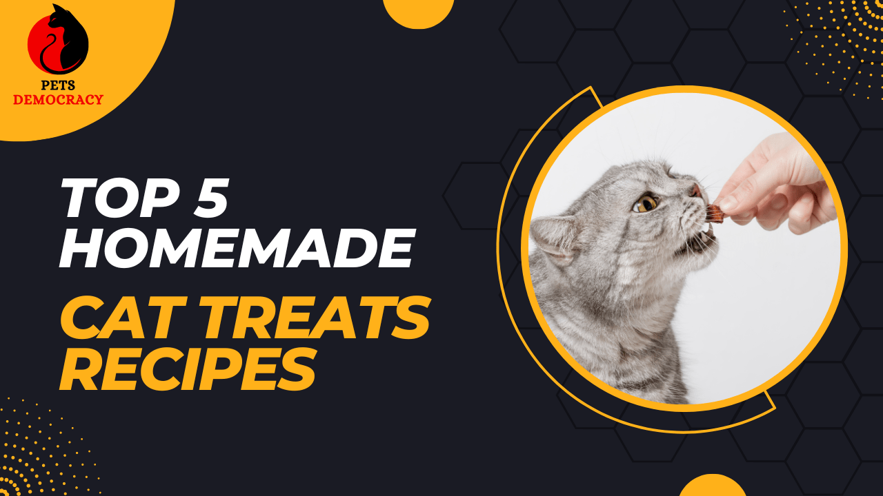 Homemade Cat Treats