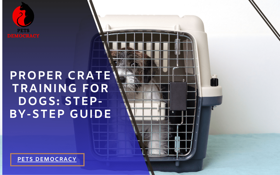 Benefits of Crate Training for Dogs