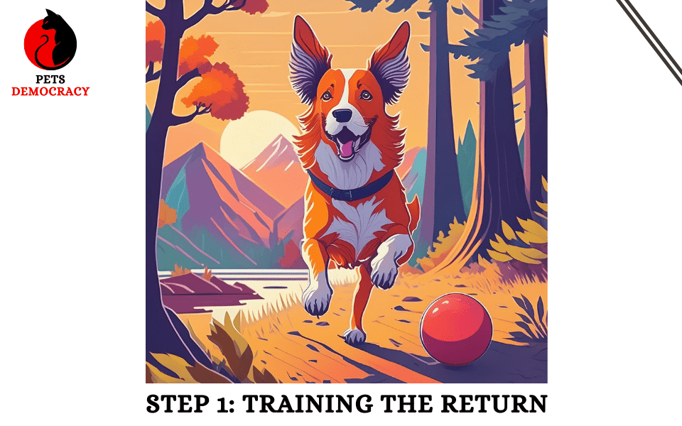 How to Train a Dog to Fetch