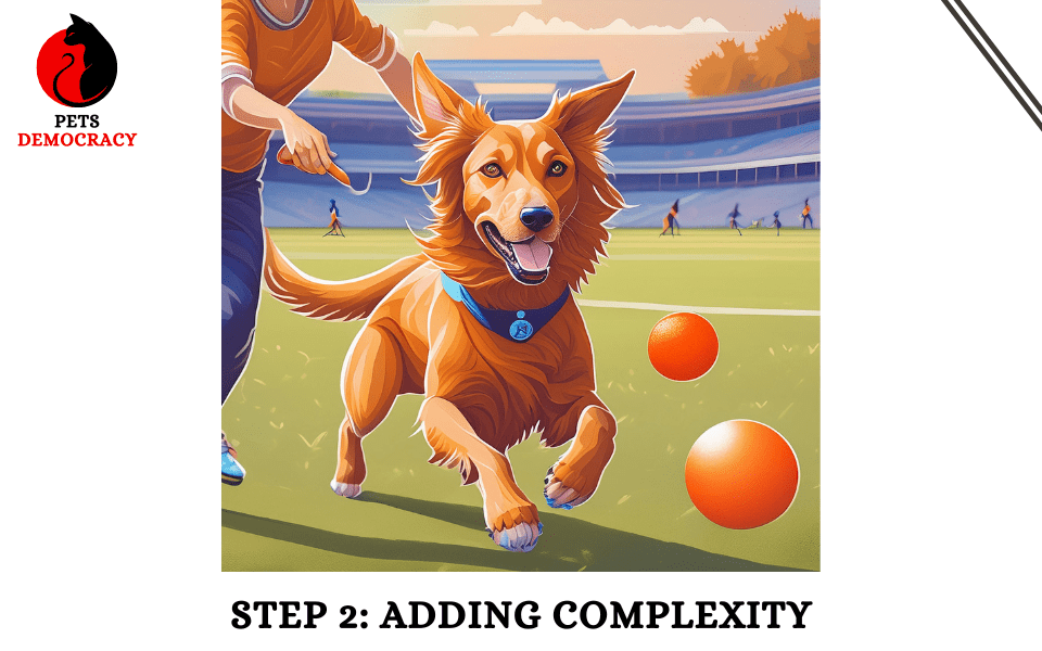 How to Train a Dog to Fetch