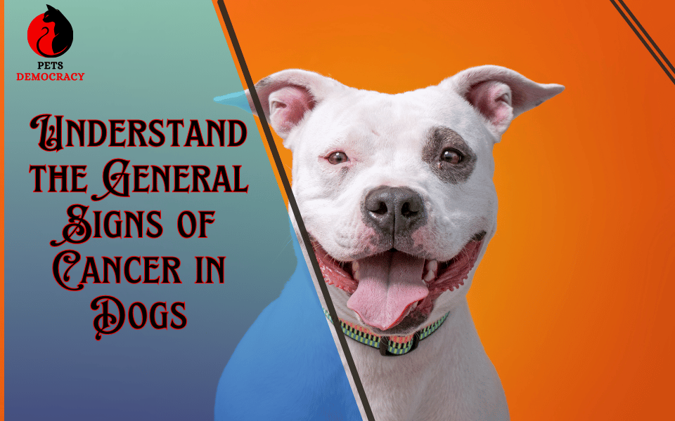 Signs of Cancer in Dogs