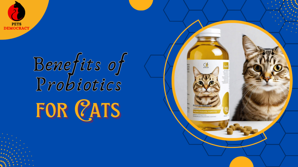 Benefits of Probiotics for Cats