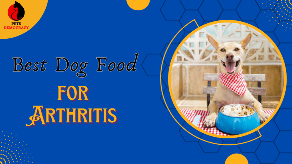 Best Dog Food for Arthritis