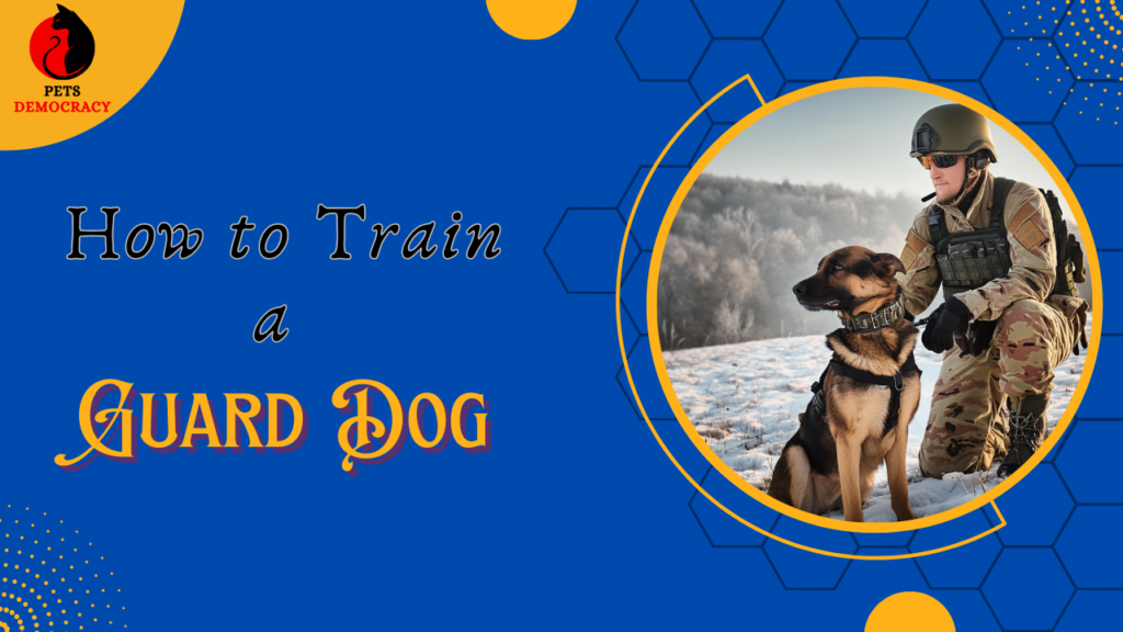 How to Train a Guard Dog