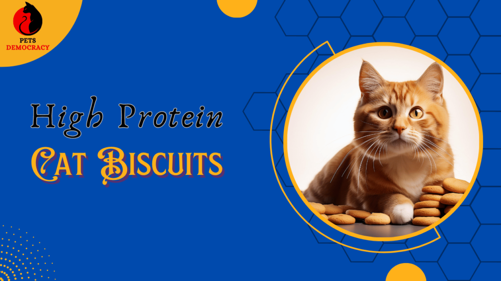 High Protein Cat Biscuits