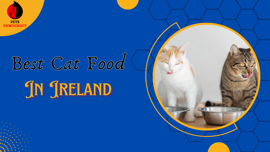 Best Cat Food in Ireland