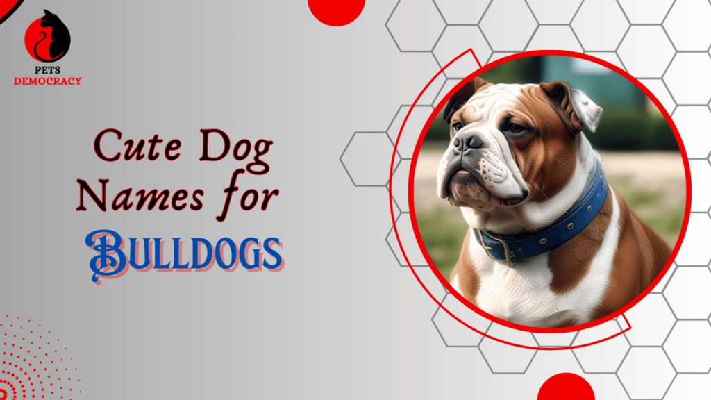 Cute Dog Names for Bulldogs